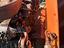 Immagine 8