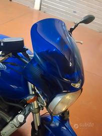 Hornet cupolino 