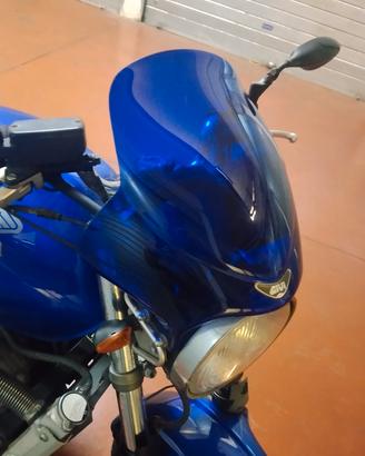 Hornet cupolino 
