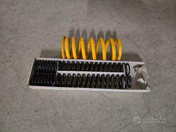 molle sospensioni forcella mono monster 695 ducati