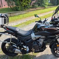 Voge Valico 500 - 2022