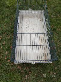 Gabbia per conigli🐰