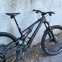 Specialized Stumpjumper Evo S-works