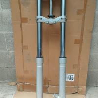 TT 600 R Forcella anteriore completa 
