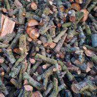 LEGNA DA ARDERE 🍑PESCA