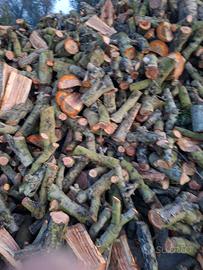 LEGNA DA ARDERE 🍑PESCA