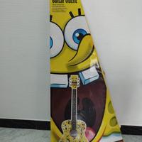 chitarra acistica