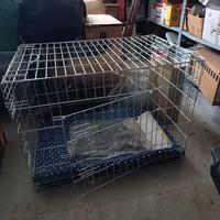 Trasportino grande per cani