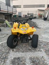 Mini quad 50cc