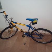 Bicicletta Mountain-bike Dalla Rosa