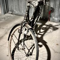 Bicicletta da donna Holland