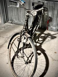 Bicicletta da donna Holland