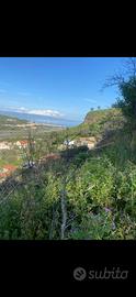 Terreno edificabile