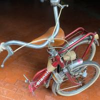 Bici Bianchi da donna pieghevole