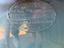 Immagine 12