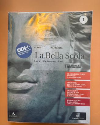 Libro latino