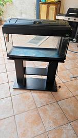 Acquario da 80 Litri