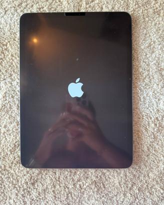 iPad Pro 11 Pollici (2nd Generation) Wi-Fi