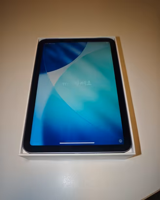 iPad Mini 6 (sesta generazione) 256GB WI-FI i