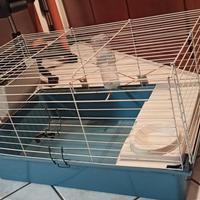 Gabbia per coniglio 