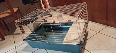 Gabbia per coniglio 