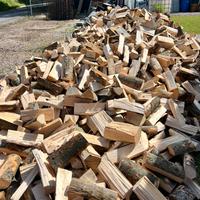 Legna da ardere FAGGIO