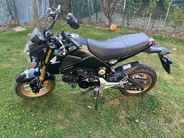 Honda Grom 125 - 2015