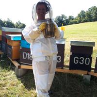 Un giorno da apicoltore 