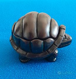 Tartaruga  legno - Scrigno  Portagioie - Cambogi