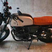 Mutt Akita 250