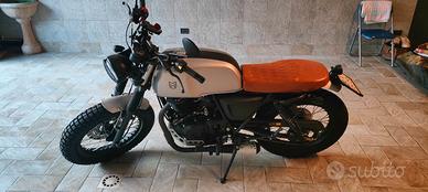 Mutt Akita 250