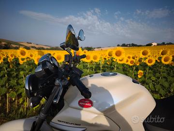 Moto Guzzi Breva 750  del 2006