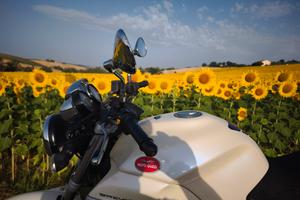 Moto Guzzi Breva 750  del 2006
