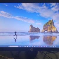Monitor 22” Full HD