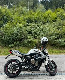 Yamaha XJ6 cilin 600