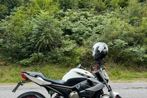 Yamaha XJ6 cilin 600
