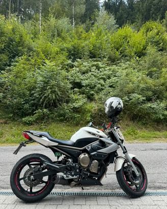 Yamaha XJ6 cilin 600