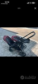 Passegino gemmelare