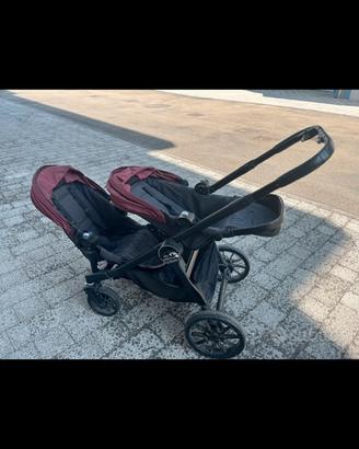 Passegino gemmelare