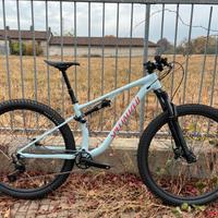 bici mtb Specialized