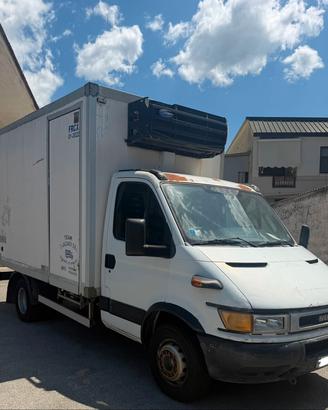 Iveco daily 65c 15 isotermico frigo