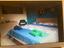 Immagine 3