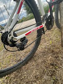 Bicicletta da ragazzo 