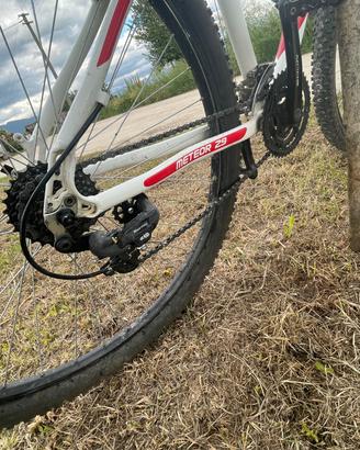 Bicicletta da ragazzo 