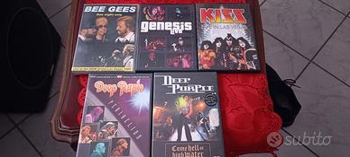 5 DVD musicali 