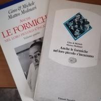 Anche le formiche nel loro piccolo...