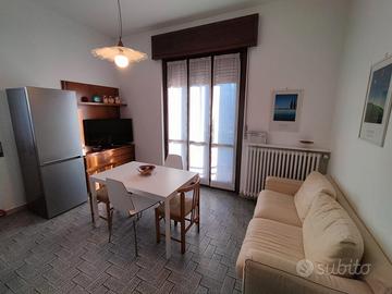 Vedano al Lambro stanza arredata in appartamento