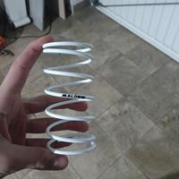 Molla bianca malossi