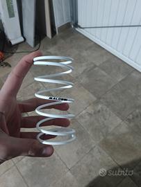 Molla bianca malossi