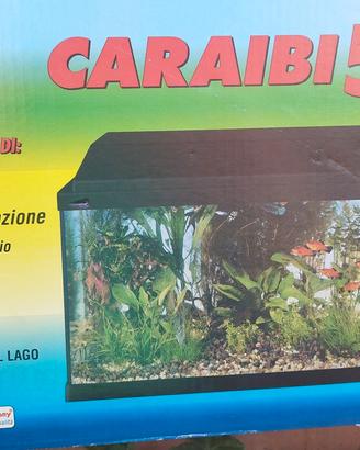 Aquario/terrario 40x30